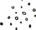 https://omseva.com/wp-content/uploads/2020/08/floating_image_02.png
